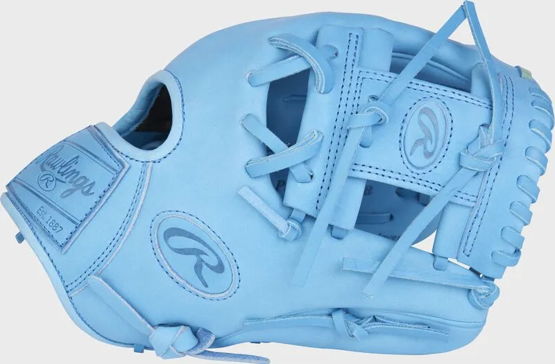 2024 Rawlings Pro Label Elements Series ICE 11.5" Baseball Glove || RPRO204-2CB