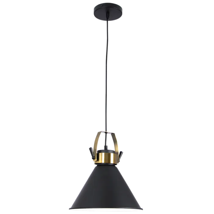 Black & Brass Pendant Light
