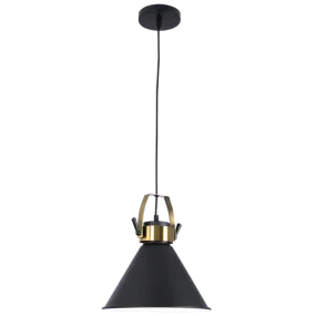 Black & Brass Pendant Light