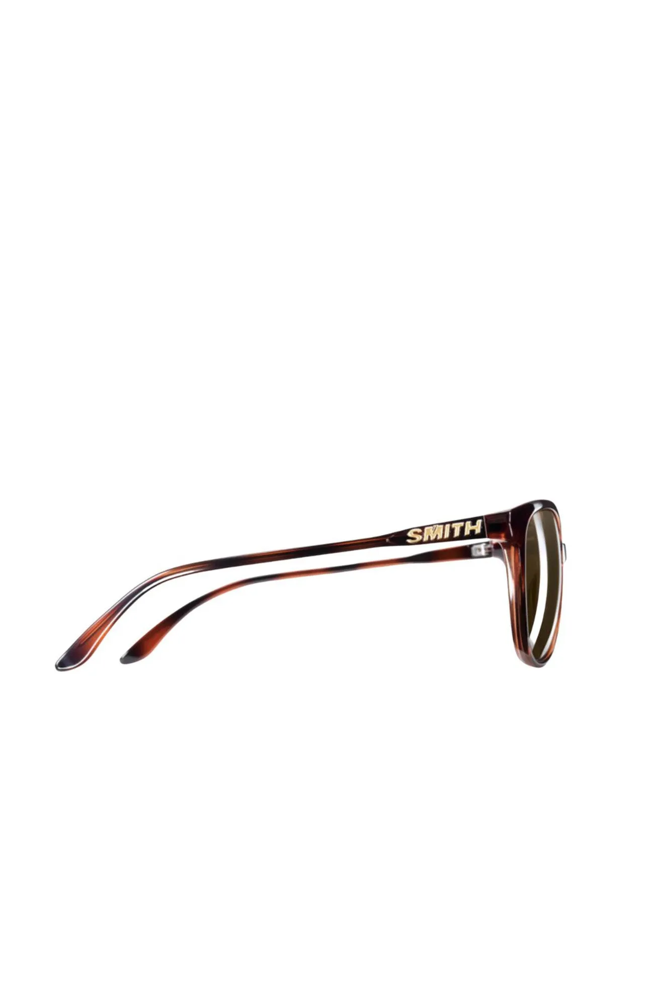 Cheetah Tortoise // Polarized Brown Gradient